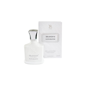 ادو پرفیوم 33میل سیلور مونتین از برند برندینی (Brandini Silver Mountain EDP 33ml) مینی ادکلن کرید سیلور مونتین برندینی - برندینی سیلور مونتین واتر