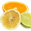 مرکبات تازه