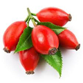 هیپ رز (میوه رز)